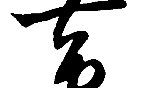 桐油的功效-专业桐油的功效与用法平台-桐油的功效与作用图片